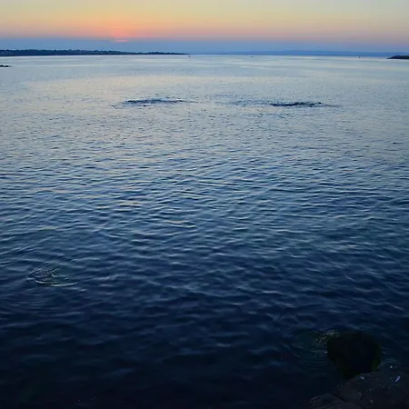 Cherry Sozopol